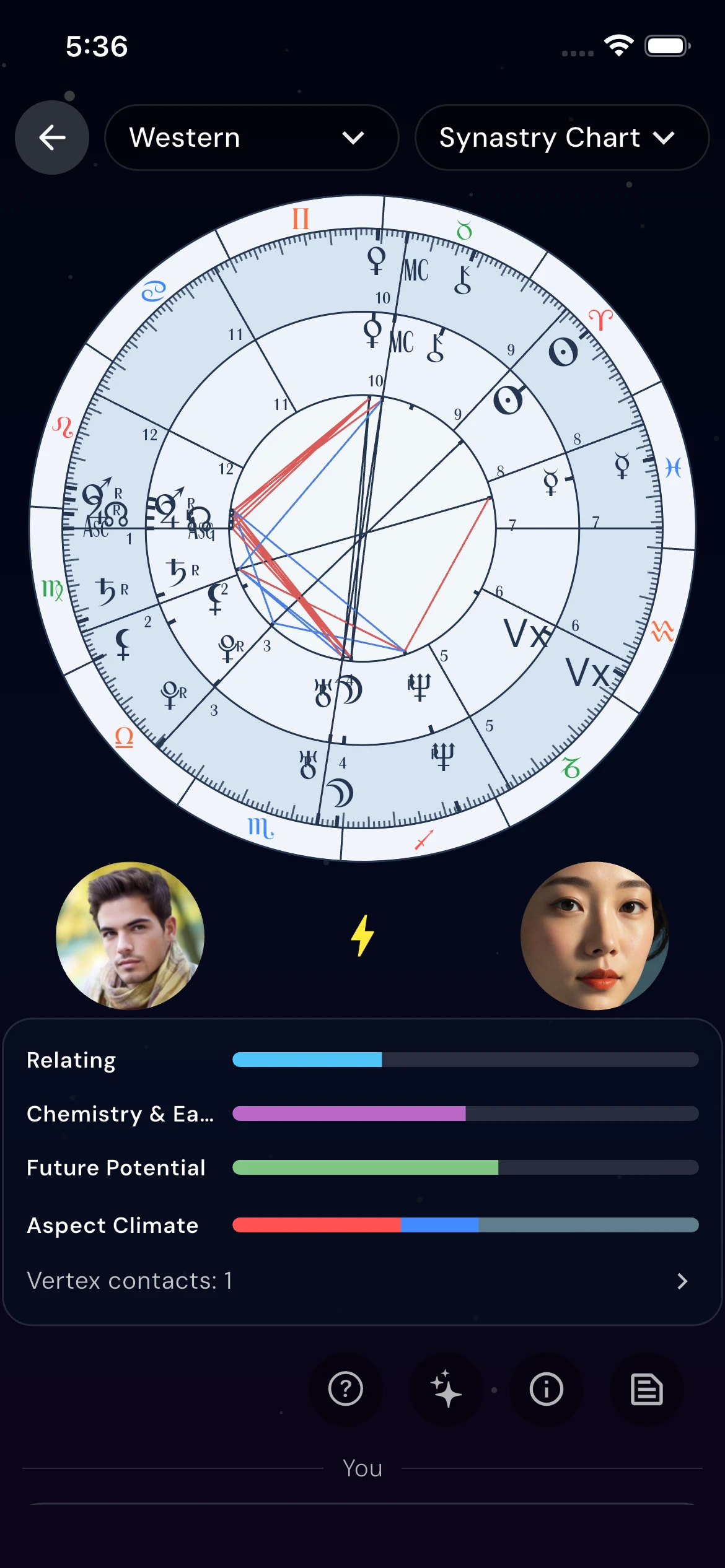Synastry compatibility chart feature